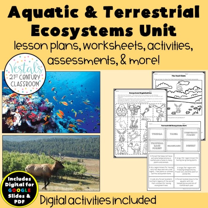 Aquatic ecosystems worksheet answer key