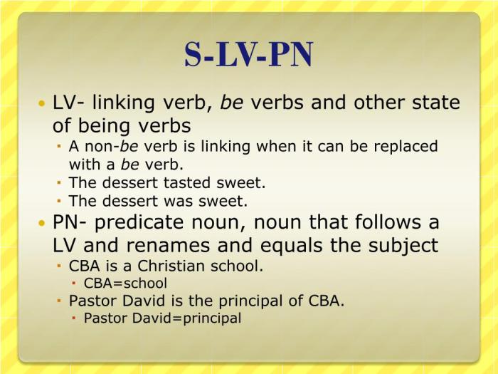 S lv pn sentence pattern examples